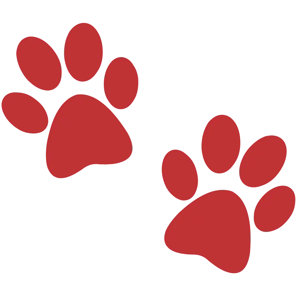 Paw