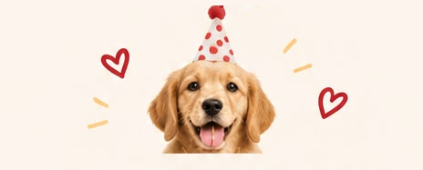 Mello Pets Birthday Club Dog
